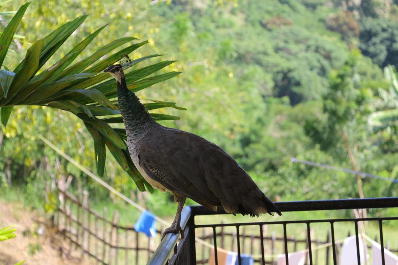 Hotel Colinas Del Rey Hato Mayor Del Rey Dış mekan fotoğraf